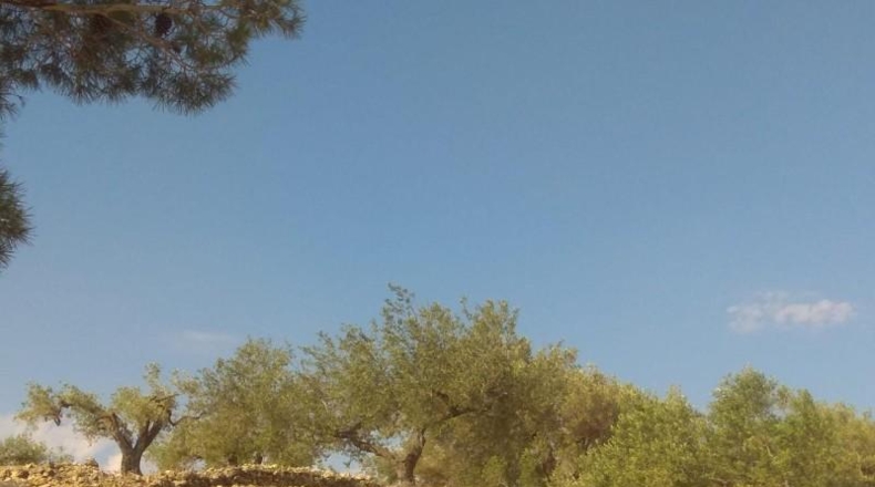 Tarragona - el Perelló - 10578m2
