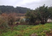 Land suitable for development for sale on España, San Bartolomé de Meruelo, ref: TR121515 photo