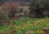 Land suitable for development for sale on España, San Bartolomé de Meruelo, ref: TR121515 photo