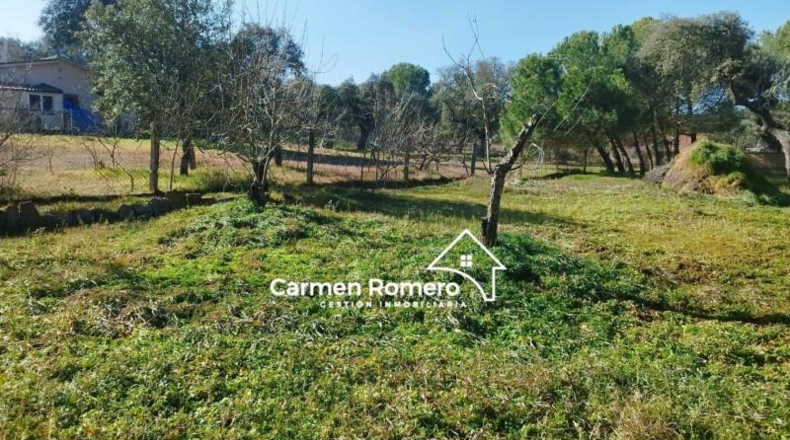 Salamanca - Florida de Liébana - 1100m2