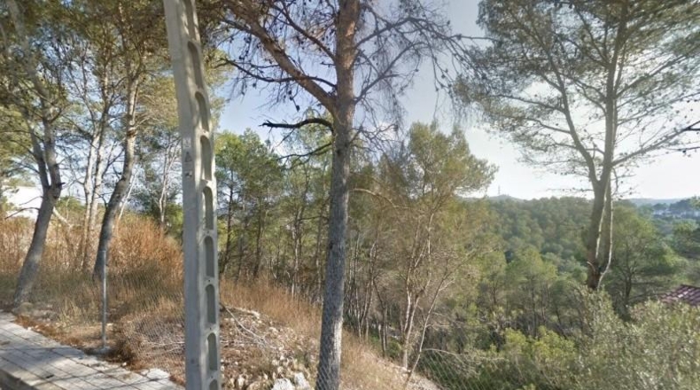 Barcelona - Olivella - 799m2