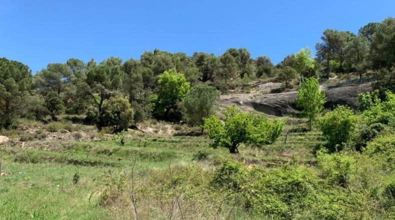 Barcelona - Monistrol de Calders - 930m2