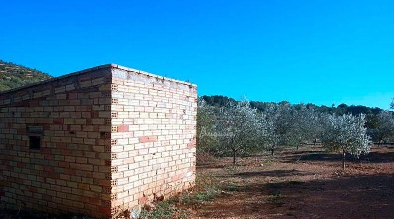 Tarragona - el Perelló - 8205m2