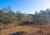 Terreny no urbanitzable en venda a la España, el Perelló, ref.: TR133660 foto