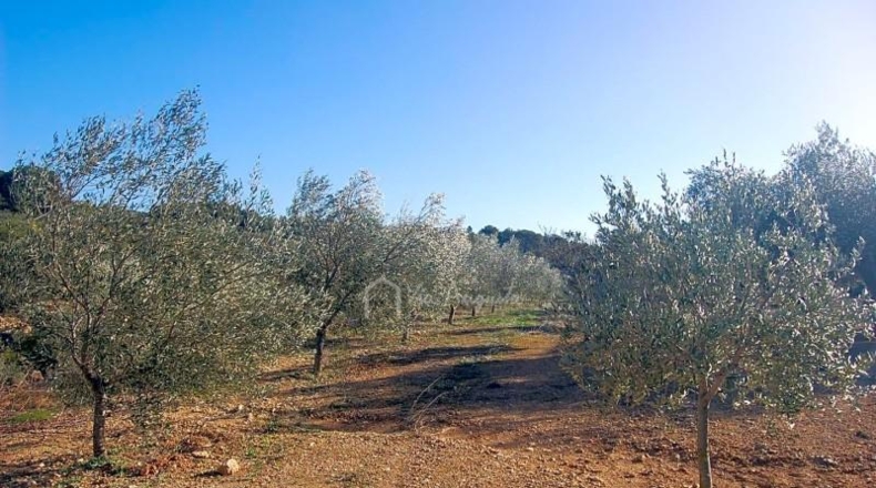Tarragona - el Perelló - 8205m2