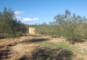 Terreny no urbanitzable en venda a la España, el Perelló, ref.: TR133660 foto