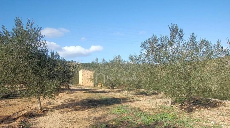 Tarragona - el Perelló - 8205m2