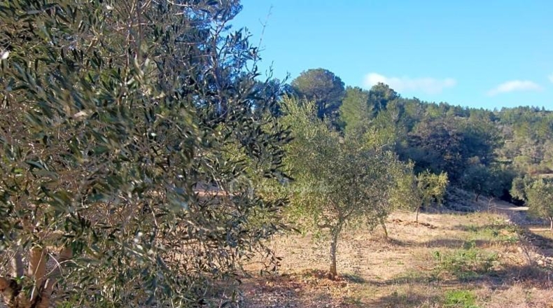 Tarragona - el Perelló - 8205m2