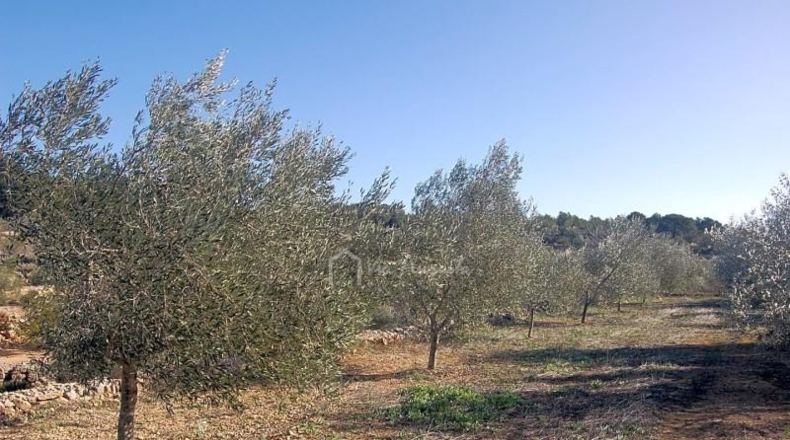 Tarragona - el Perelló - 8205m2
