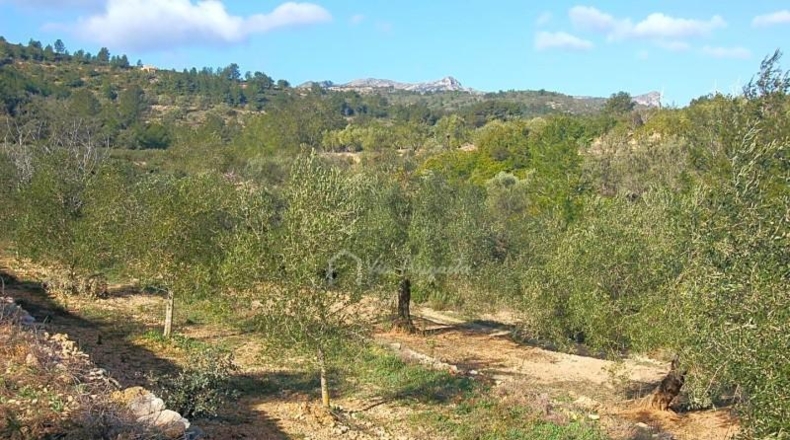 Tarragona - el Perelló - 8205m2