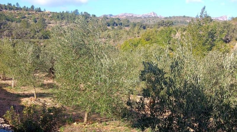 Tarragona - el Perelló - 8205m2