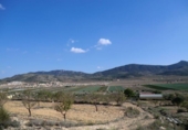 Parcel·la urbanitzable en venda a la España, el Fondó de les Neus, ref.: TR113636 foto