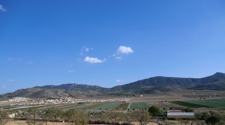 Alicante - Hondón de las Nieves - 11000m2