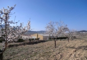 Parcel·la urbanitzable en venda a la España, el Fondó de les Neus, ref.: TR113636 foto