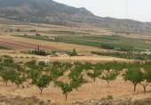 Parcel·la urbanitzable en venda a la España, el Fondó de les Neus, ref.: TR113636 foto