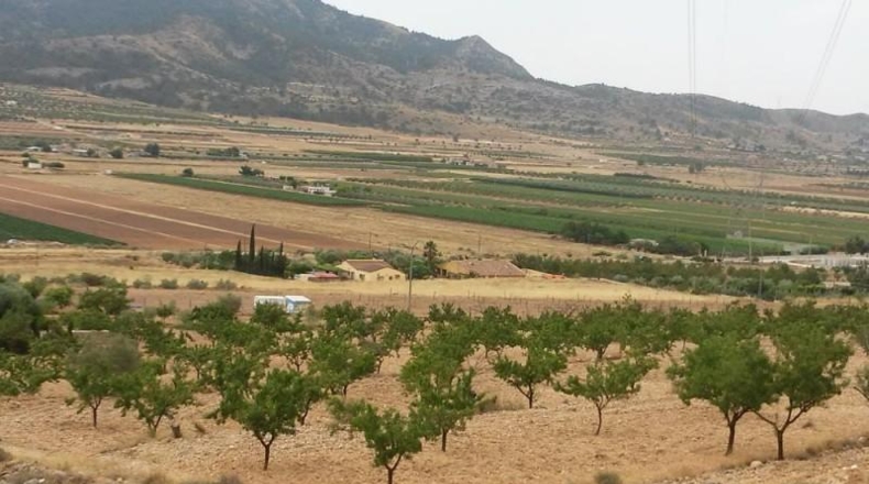 Alicante - Hondón de las Nieves - 11000m2