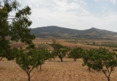Parcel·la urbanitzable en venda a la España, el Fondó de les Neus, ref.: TR113636 foto