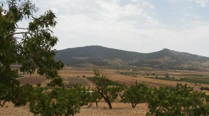 Alicante - Hondón de las Nieves - 11000m2
