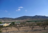 Parcel·la urbanitzable en venda a la España, el Fondó de les Neus, ref.: TR113636 foto
