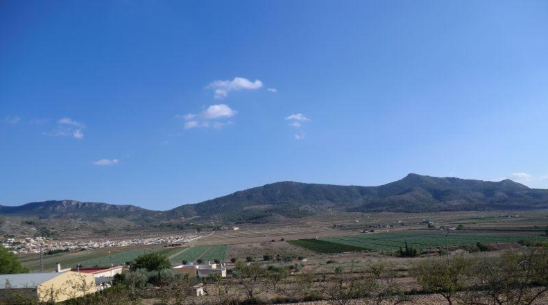 Alicante - Hondón de las Nieves - 11000m2