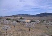 Parcel·la urbanitzable en venda a la España, el Fondó de les Neus, ref.: TR113636 foto