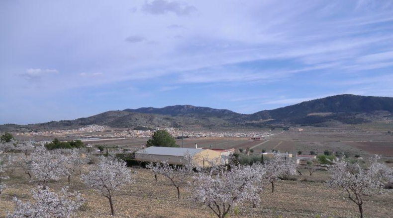 Alicante - Hondón de las Nieves - 11000m2