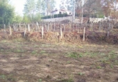 Land suitable for development for sale on España, Ponteareas, ref: TR113830 photo