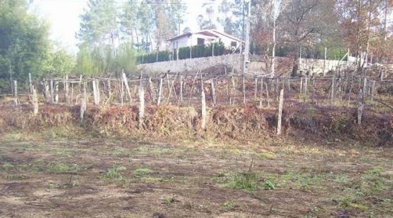 Pontevedra - Ponteareas - 1625m2