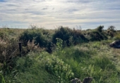 Terreno no urbanizable en venta en la España, Puçol, ref: TR118986 foto