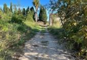 Terreno no urbanizable en venta en la España, Puçol, ref: TR118986 foto