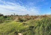 Terreno no urbanizable en venta en la España, Puçol, ref: TR118986 foto