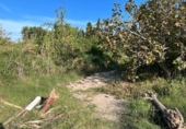Terreno no urbanizable en venta en la España, Puçol, ref: TR118986 foto