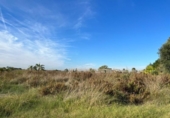 Terreno no urbanizable en venta en la España, Puçol, ref: TR118986 foto