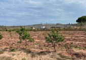 Terreno no urbanizable en venta en la España, Puçol, ref: TR118986 foto