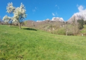 Land suitable for development for sale on España, Camaleño, ref: TR169246 photo