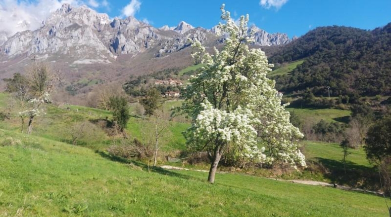 Cantabria - Camaleño - 900m2