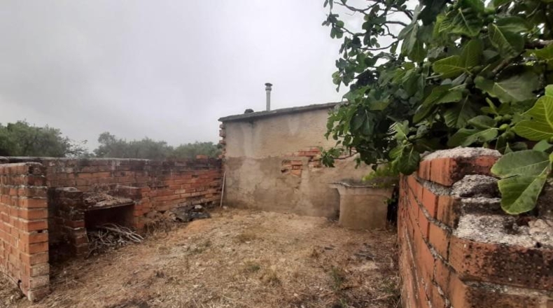 Cáceres - Cáceres - 8830m2