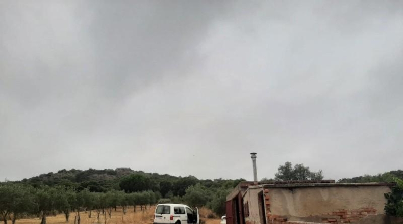 Cáceres - Cáceres - 8830m2