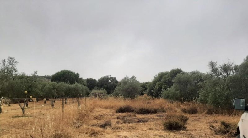 Cáceres - Cáceres - 8830m2