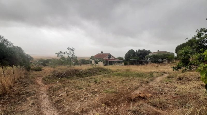 Cáceres - Cáceres - 8830m2