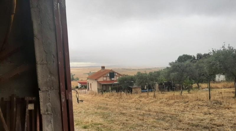 Cáceres - Cáceres - 8830m2