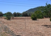 Non-developable land for sale on España, Albolote, ref: TR131760 photo