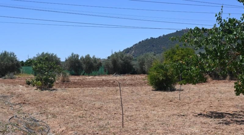 Granada - Albolote - 4338m2