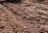 Non-developable land for sale on España, Albolote, ref: TR131760 photo