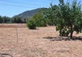 Non-developable land for sale on España, Albolote, ref: TR131760 photo