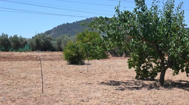 Granada - Albolote - 4338m2