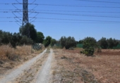 Non-developable land for sale on España, Albolote, ref: TR131760 photo