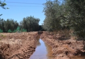 Non-developable land for sale on España, Albolote, ref: TR131760 photo