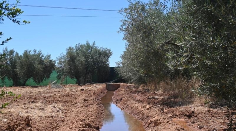 Granada - Albolote - 4338m2