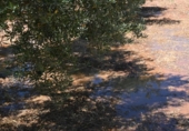 Non-developable land for sale on España, Albolote, ref: TR131760 photo